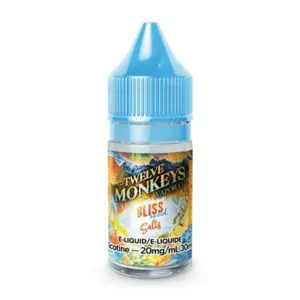 Bliss Ice Age by Twelve Monkeys Salts