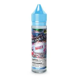 Haven Ice Age by Twelve Monkeys