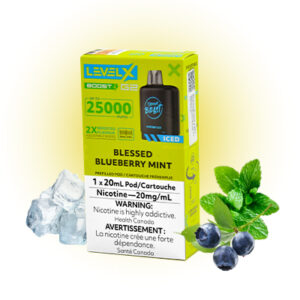 Blessed Blueberry Mint Iced Pods Level X G2 by Flavour Beast Boost