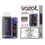 Fcuking Fab Vista 20000 Puff by Vozol
