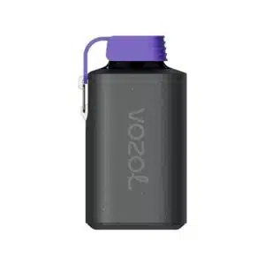 Forest Berry Storm Gear 10000 Puff by Vozol - Image 2